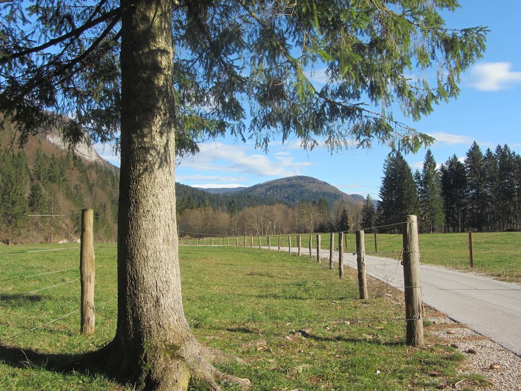 Apartments Arh Bohinj Exterior photo